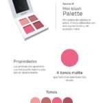 Mini Paleta Rubor x4